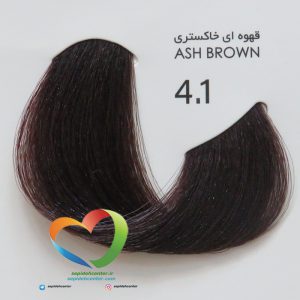رنگ موی بدون آمونیاک پیکشن شماره 4.1 قهوه ای خاکستری Piction COLOR Ash Brown