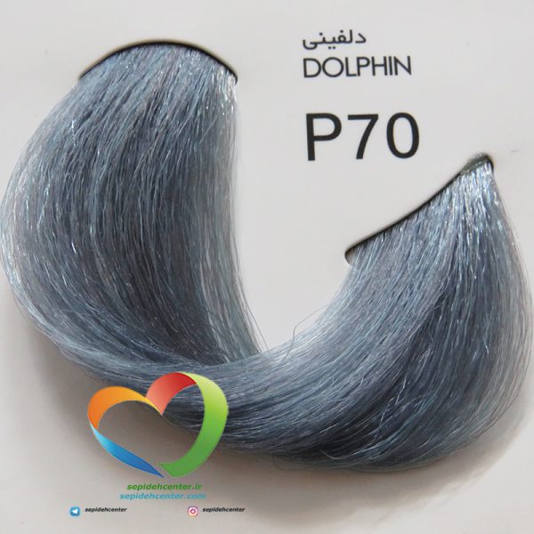 رنگ موی بدون آمونیاک پیکشن شماره P70 دلفینی Piction COLOR Dolphin