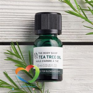 روغن تی تری (درخت چای) بادی شاپ [اصل] The Body Shop Tea Oil حجم 10 میلی لیتر