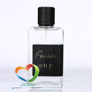 ادوپرفیوم مردانه پنسیس مدل Pensis Men's Eau de Parfum Wild حجم 100 میل