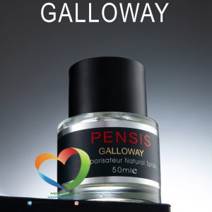 ادوپرفیوم مردانه پنسیس مدل گالووی Pensis men's Eau de Parfum GALLOWAY حجم 50 میل
