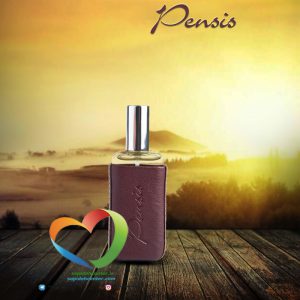 ادوپرفیوم مردانه پنسیس مدل وود Pensis men's Eau de Parfum WOOD حجم 30 میل