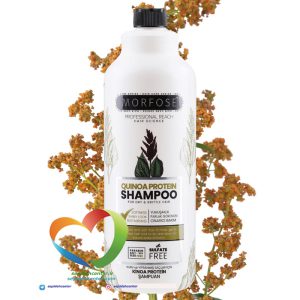 شامپو بدون سولفات مورفوس مدل پروتئین کینوا Morfose Shampoo QUINOA PROTEIN حجم 1000 میل